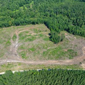 Photo #28 of HUNTING LODGE RD, SCHUYLER, VA 41.9 acres