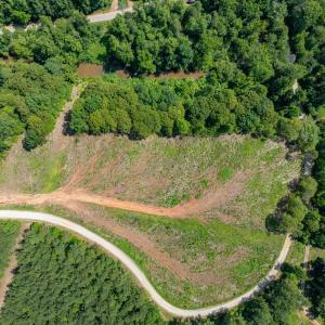 Photo #36 of HUNTING LODGE RD, SCHUYLER, VA 41.9 acres
