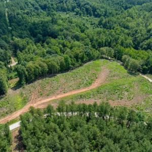 Photo #23 of HUNTING LODGE RD, SCHUYLER, VA 41.9 acres