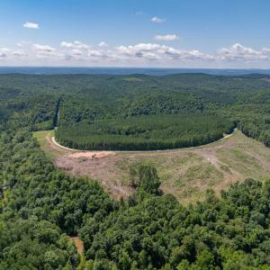 Photo #5 of HUNTING LODGE RD, SCHUYLER, VA 41.9 acres