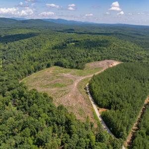 Photo #42 of HUNTING LODGE RD, SCHUYLER, VA 41.9 acres