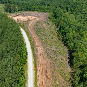 Photo #46 of HUNTING LODGE RD, SCHUYLER, VA 41.9 acres
