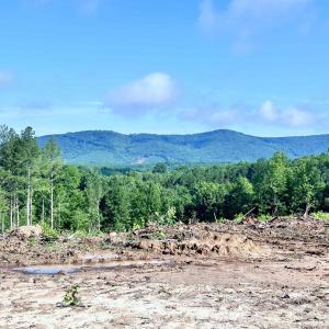 Photo #58 of HUNTING LODGE RD, SCHUYLER, VA 41.9 acres