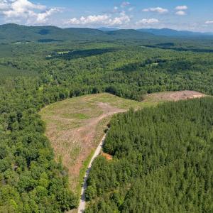 Photo #43 of HUNTING LODGE RD, SCHUYLER, VA 41.9 acres