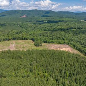 Photo #7 of HUNTING LODGE RD, SCHUYLER, VA 41.9 acres