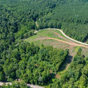 Photo #13 of HUNTING LODGE RD, SCHUYLER, VA 41.9 acres