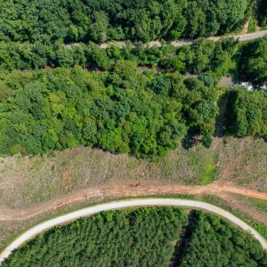 Photo #37 of HUNTING LODGE RD, SCHUYLER, VA 41.9 acres