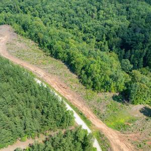 Photo #24 of HUNTING LODGE RD, SCHUYLER, VA 41.9 acres