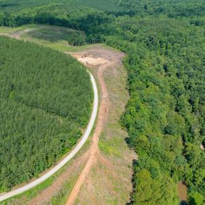 Photo #15 of HUNTING LODGE RD, SCHUYLER, VA 41.9 acres