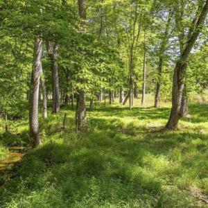 Photo #2 of Lot 4 CLUB DR, KESWICK, VA 2.0 acres