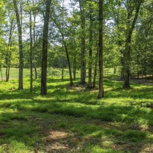 Photo #3 of Lot 4 CLUB DR, KESWICK, VA 2.0 acres