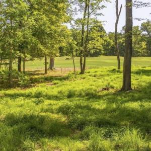 Photo #1 of Lot 4 CLUB DR, KESWICK, VA 2.0 acres