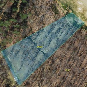 Photo #4 of Lot 4 CLUB DR, KESWICK, VA 2.0 acres