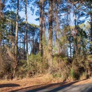 Photo #2 of Lot 1098 AMIDSHIP DR, GREENBACKVILLE, VA 9,750.0 acres