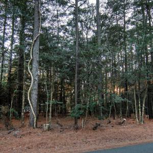 Photo #2 of Lot 827 CASTAWAY DR, GREENBACKVILLE, VA 9.0 acres