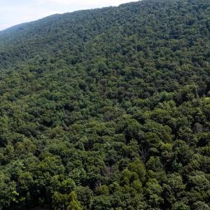 Photo #12 of TBD BRUNK SPRING LN, BROADWAY, VA 9.3 acres