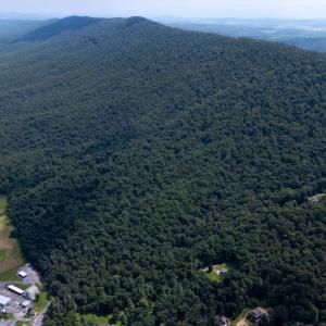 Photo #19 of TBD BRUNK SPRING LN, BROADWAY, VA 9.3 acres