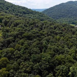 Photo #17 of TBD BRUNK SPRING LN, BROADWAY, VA 9.3 acres