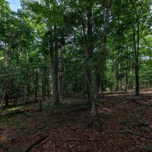 Photo #6 of TBD BRUNK SPRING LN, BROADWAY, VA 9.3 acres