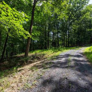 Photo #4 of TBD BRUNK SPRING LN, BROADWAY, VA 9.3 acres