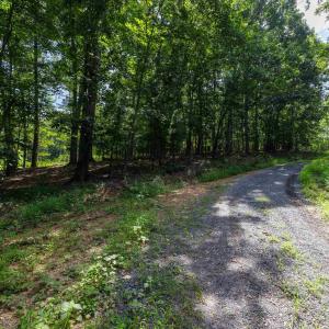 Photo #5 of TBD BRUNK SPRING LN, BROADWAY, VA 9.3 acres