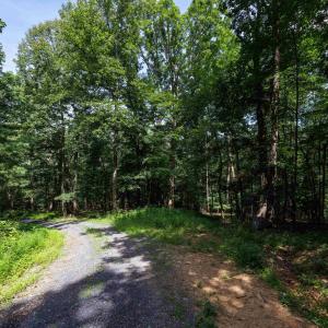 Photo #1 of TBD BRUNK SPRING LN, BROADWAY, VA 9.3 acres