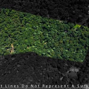Photo #2 of TBD BRUNK SPRING LN, BROADWAY, VA 9.3 acres