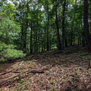 Photo #7 of TBD BRUNK SPRING LN, BROADWAY, VA 9.3 acres