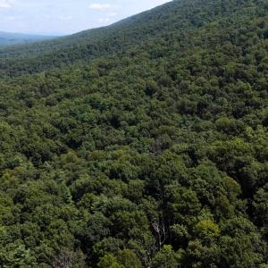 Photo #13 of TBD BRUNK SPRING LN, BROADWAY, VA 9.3 acres