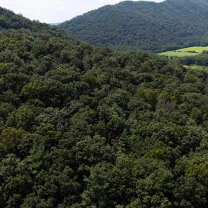 Photo #16 of TBD BRUNK SPRING LN, BROADWAY, VA 9.3 acres