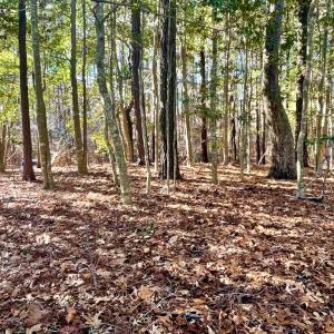Photo #3 of Lot 1593 HIGH SEA DR, GREENBACKVILLE, VA 0.2 acres