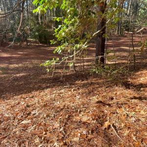 Photo #6 of Lot 1593 HIGH SEA DR, GREENBACKVILLE, VA 0.2 acres