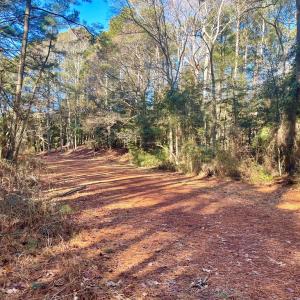 Photo #7 of Lot 1593 HIGH SEA DR, GREENBACKVILLE, VA 0.2 acres