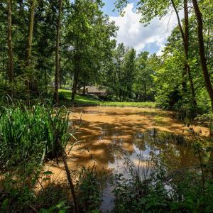 Photo #2 of 15 MONT VIEW LN, LURAY, VA 3.1 acres