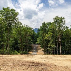 Photo #1 of 15 MONT VIEW LN, LURAY, VA 3.1 acres