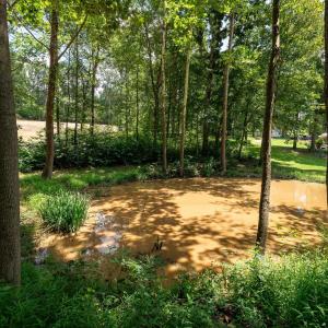 Photo #7 of 15 MONT VIEW LN, LURAY, VA 3.1 acres