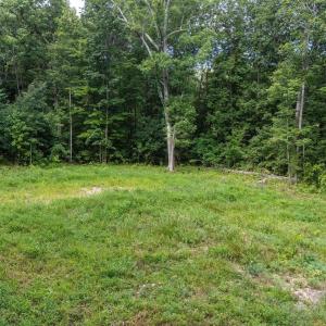 Photo #3 of TBD CRIMORA MINE RD, CRIMORA, VA 1.4 acres