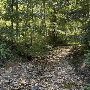 Photo #8 of TBD CRIMORA MINE RD, CRIMORA, VA 1.4 acres