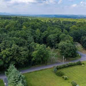 Photo #9 of TBD CRIMORA MINE RD, CRIMORA, VA 1.4 acres