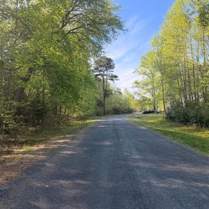 Photo #2 of Lot 81 NEPTUNE DR, GREENBACKVILLE, VA 0.2 acres