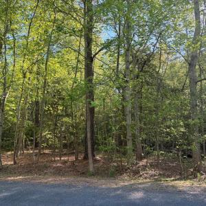 Photo #27 of Lot 81 NEPTUNE DR, GREENBACKVILLE, VA 0.2 acres