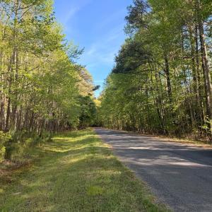 Photo #28 of Lot 81 NEPTUNE DR, GREENBACKVILLE, VA 0.2 acres