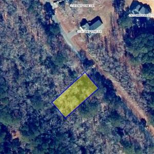 Photo #29 of Lot 81 NEPTUNE DR, GREENBACKVILLE, VA 0.2 acres