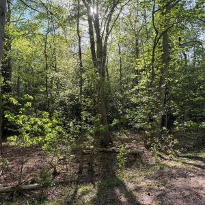 Photo #3 of Lot 81 NEPTUNE DR, GREENBACKVILLE, VA 0.2 acres