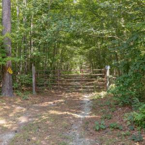 Photo #11 of Lots 1 & 2 CONSTITUTION RTE, SCOTTSVILLE, VA 40.1 acres