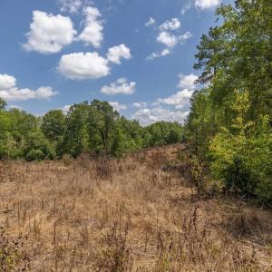 Photo #15 of Lots 1 & 2 CONSTITUTION RTE, SCOTTSVILLE, VA 40.1 acres