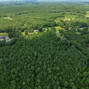 Photo #7 of Lots 1 & 2 CONSTITUTION RTE, SCOTTSVILLE, VA 40.1 acres