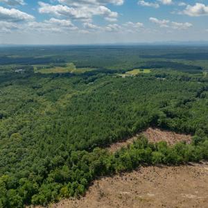 Photo #10 of Lots 1 & 2 CONSTITUTION RTE, SCOTTSVILLE, VA 40.1 acres