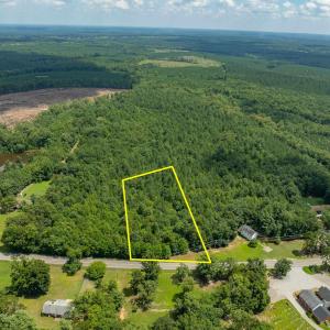 Photo #2 of Lots 1 & 2 CONSTITUTION RTE, SCOTTSVILLE, VA 40.1 acres