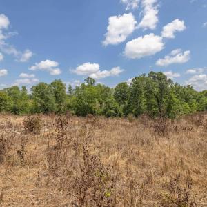 Photo #14 of Lots 1 & 2 CONSTITUTION RTE, SCOTTSVILLE, VA 40.1 acres